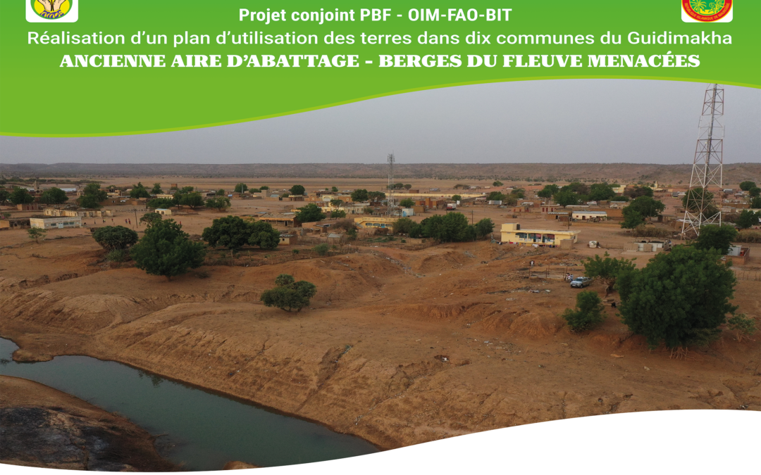 Conception finalisation et restitution des Plans d’Utilisation des Terres (PUT) du Guidimakha – AMDE