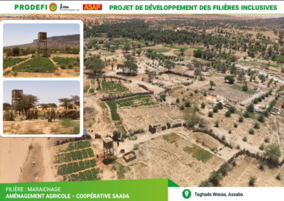 PRODEFI : Conception d’une BDD SIG interactive en ligne