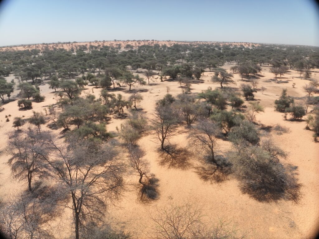 FAO - Expertise en gestion de l'utilisation des terres