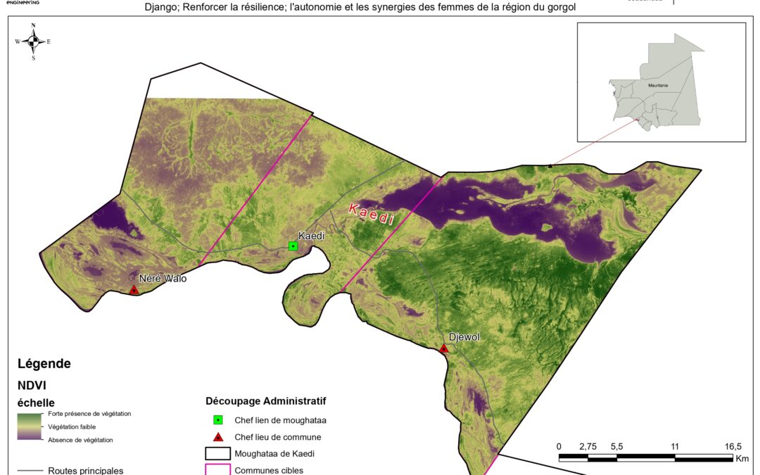 Projet Django : identification d’AGR et de stratégies de résilience au changement climatique