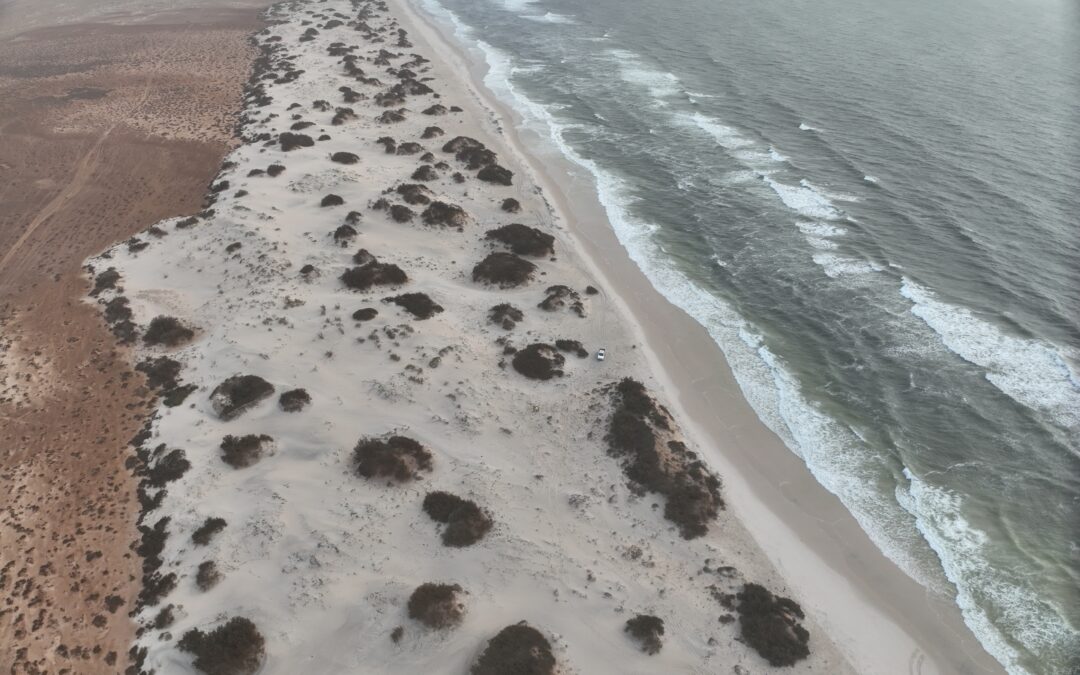 Cartographie par drone de la dune côtière du littoral de Tiguent