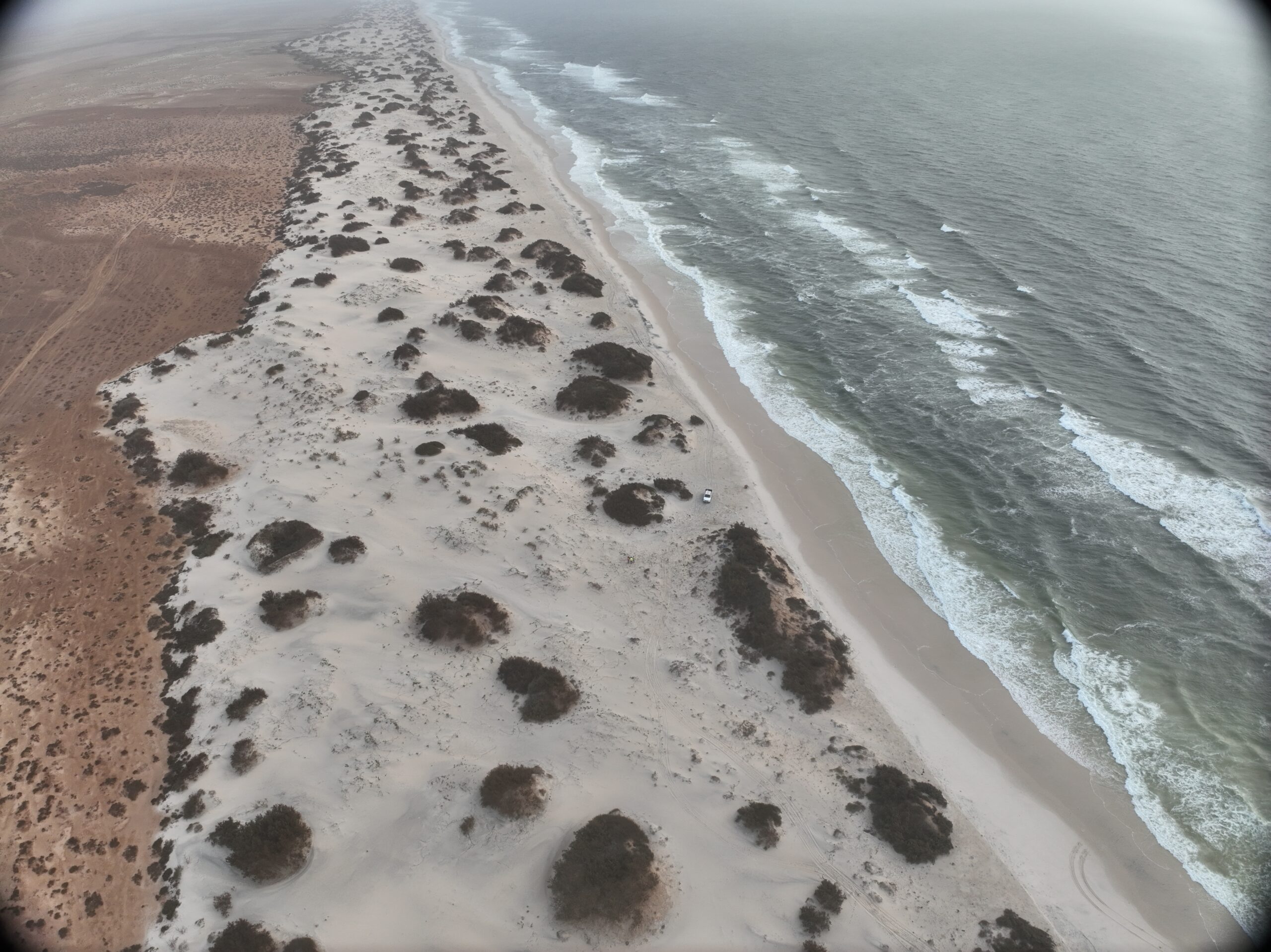 Cartographie par drone de la dune côtière du littoral de Tiguent