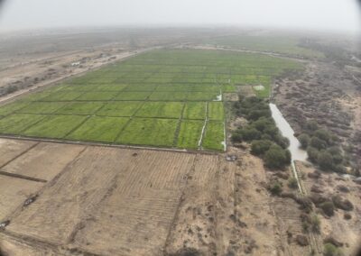 Cartographie de 240 ha d’un périmètre agricole à Beguemoune