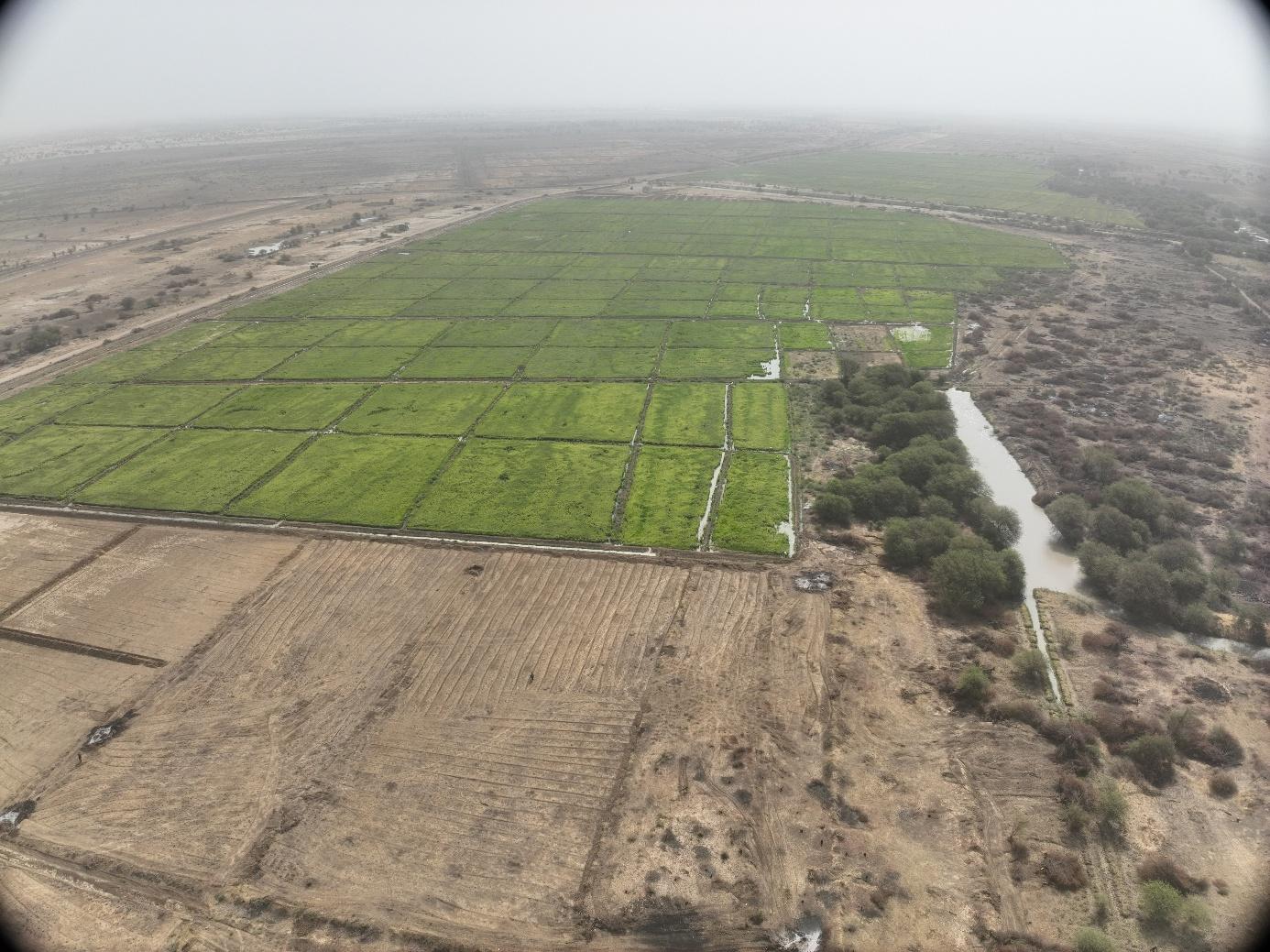 Cartographie de 240 ha d’un périmètre agricole à Beguemoune Cartographie de 240 ha d’un périmètre agricole à Beguemoune