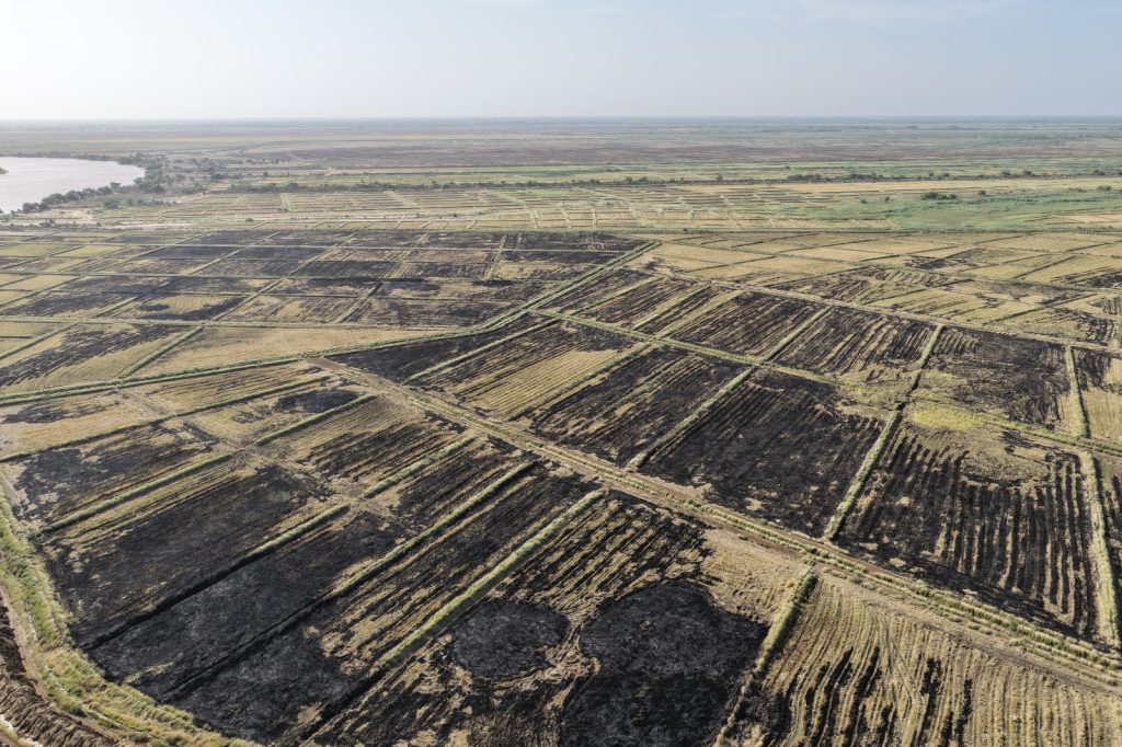 Cartographie par drone et télédétection des forêts classées du Trarza