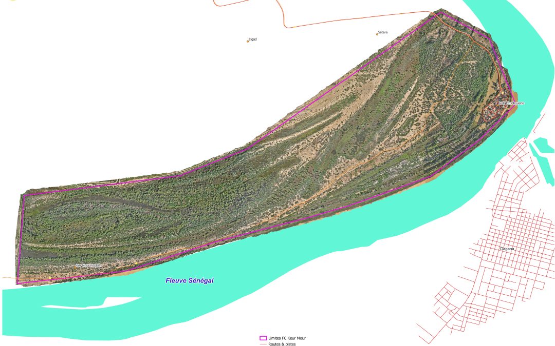 Cartographie par drone et télédétection des forêts classées du Trarza