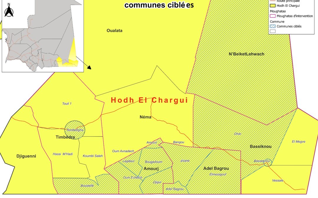 Mission d&rsquo;élaboration de PCHA — Programme Tawafoug pour l&rsquo;hydraulique et l&rsquo;assainissement dans le Hodh Chargui