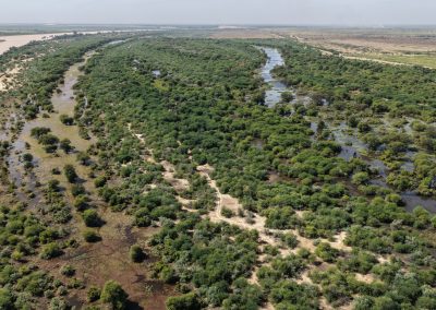Télédétection, cartographie et SIG au service dela gestion durable de la forêt classée de KeurMour, au Trarza, en Mauritanie