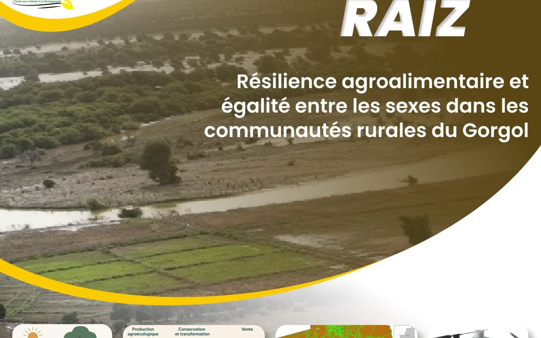 Mujer Raíz : le lancement effectif du projet se prépare à Nouakchott et dans le Gorgol