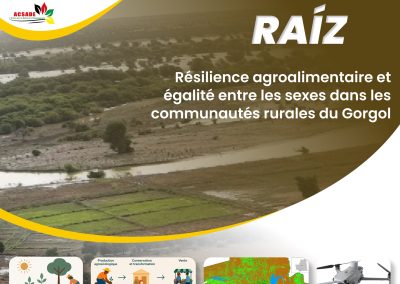 Mujer Raíz : le lancement effectif du projet se prépare à Nouakchott et dans le Gorgol