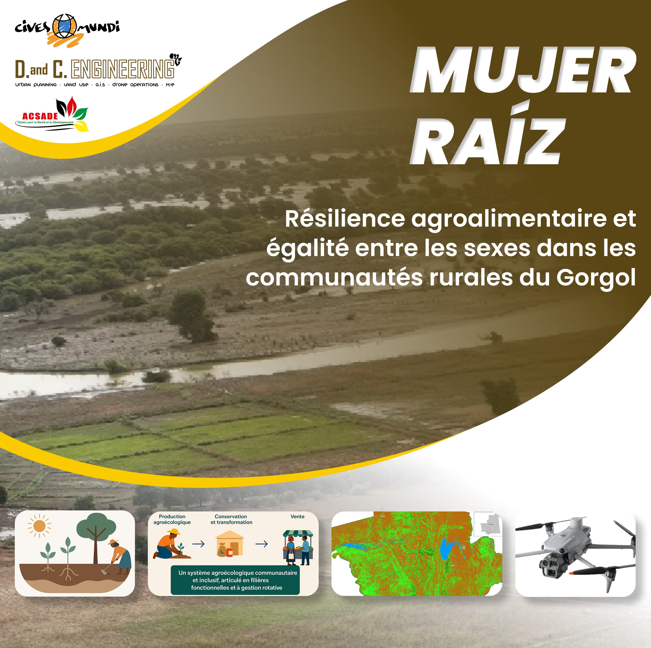 mujer-raiz-gorgol-lancement